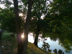 The moat