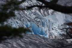 Glimpse of Grey Glacier