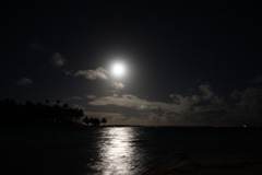 By moonlight