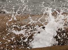 Blowhole