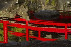 Japanese garden