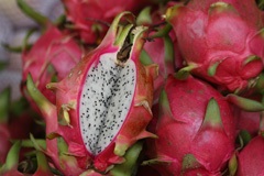 Dragon fruit