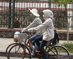 Mobile mummies